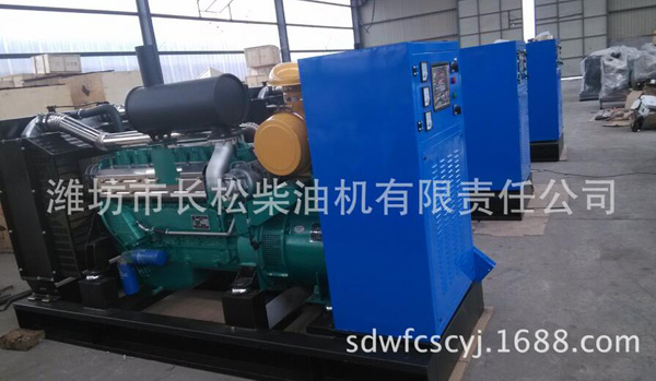 潍柴 120KW 沼气发电机组