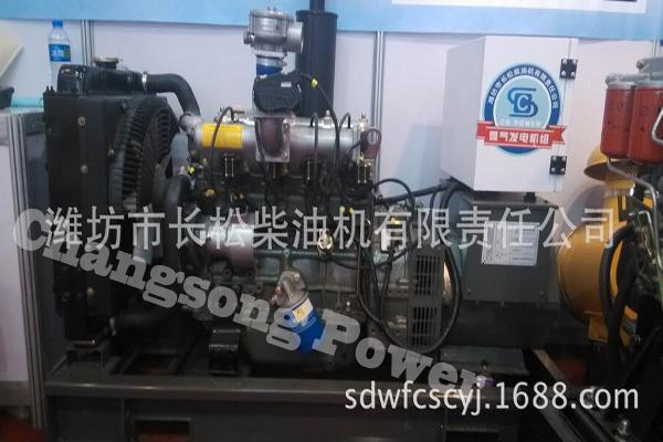 15KW 燃气发电机组