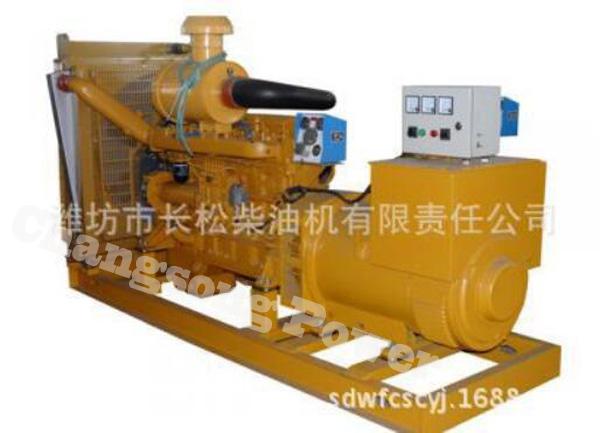 潍坊10KW -500KW柴油机及柴油发电机组