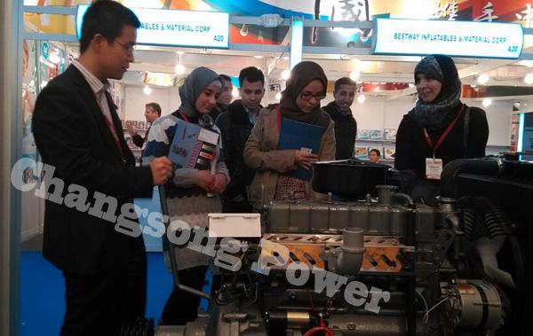 All copper brushless 20KW diesel generator set